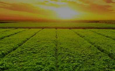 2 Sıralı Kültivatörler ve Kombinasyonları