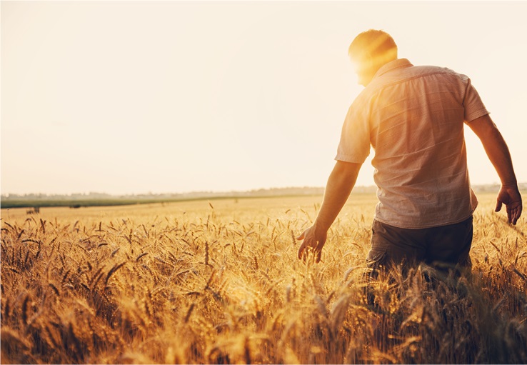 Sert Çelik Bıçakları Birleşim Tarım Güvencesiyle Üretiliyor!